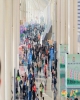 第115届糖酒会2026年秋季登陆南京，汇聚*食品酒水，链接百万买家